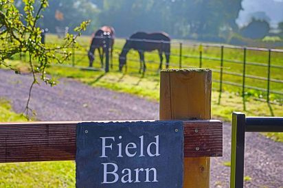 Field Barn sleeps 2, with a private Steam Room and AirCon! 1