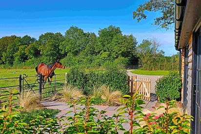 Field Barn sleeps 2, with a private Steam Room and AirCon! 3