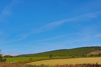 Field Barn sleeps 2, with a private Steam Room and AirCon! 10