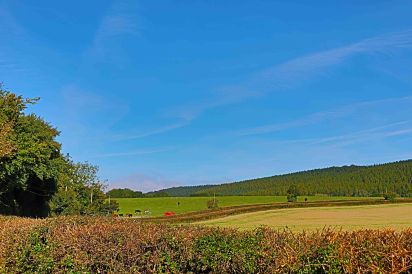 Field Barn sleeps 2, with a private Steam Room and AirCon! 8