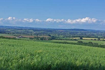 Field Barn sleeps 2, with a private Steam Room and AirCon! 21