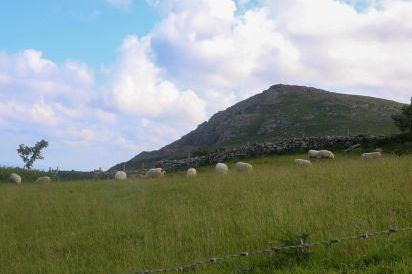 Fron Olau 65