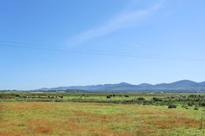 Glanrafon 46