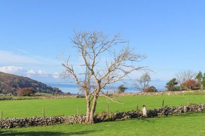 Glanrafon 42