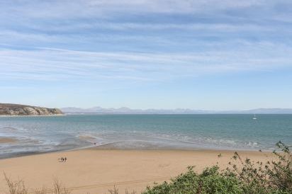 Gorse Bank 55