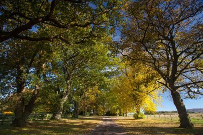 Heads Nook Hall Cottage 11