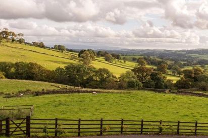 High Fellside Hall 24