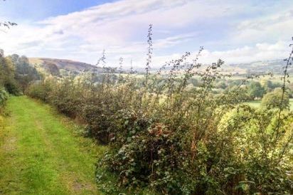 Hiraeth Country Cottage 14