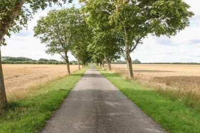 Home Farm 62