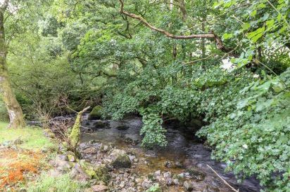 Islwyn 5