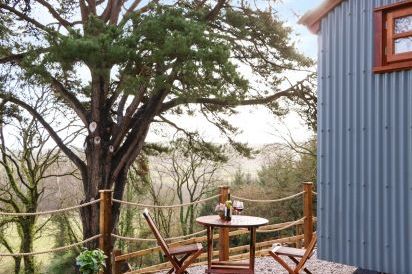 Little Silver Fox Shepherds Hut 14