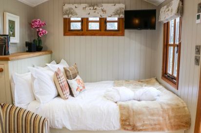 Little Silver Fox Shepherds Hut 6
