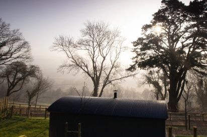 Little Silver Fox Shepherds Hut 22