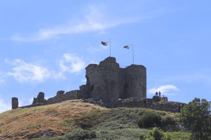 Llawenfan 23