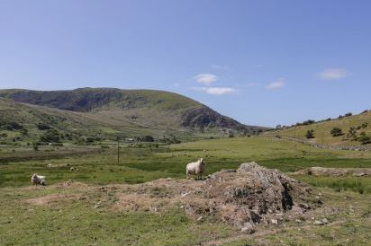 Llethr - Shepherds Hut 28