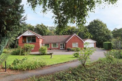 Llys Offa 4