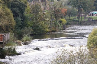 Llys Offa 49