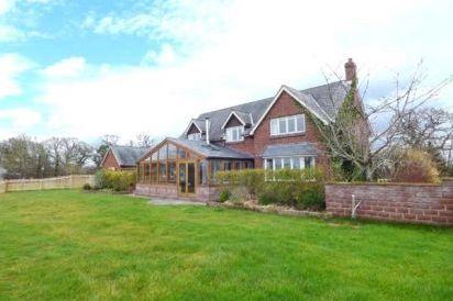 Manor Wood 20