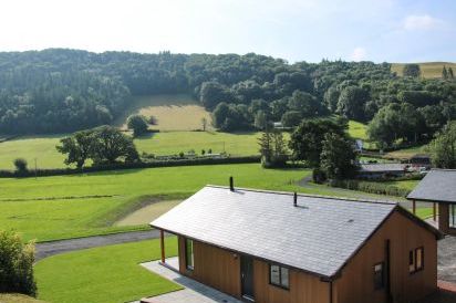 Meadow View 19