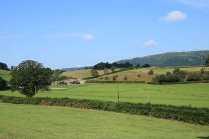 Meadow View 25