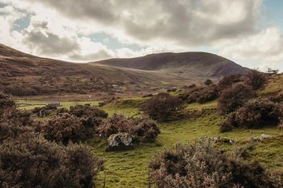 Moelfre - Shepherds Hut 18