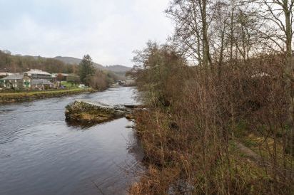 Mullingar 44
