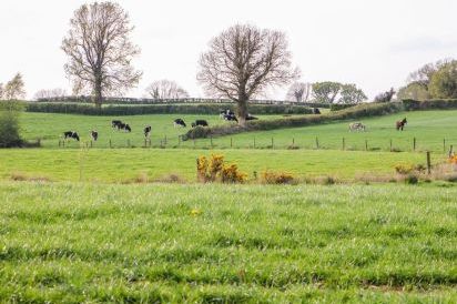 Old Village Barn near Lough Derg 30