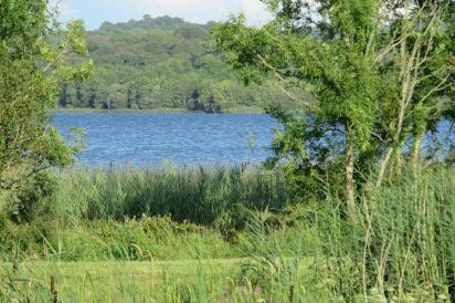 Old Village Barn near Lough Derg 33