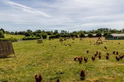 Oxen Cottage Dog Friendly Holiday Cottage, Upper Seagry, Cotswolds  13