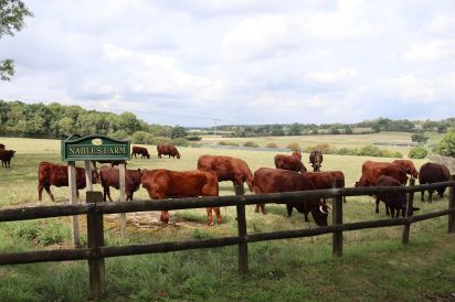 Oxen Cottage Dog Friendly Holiday Cottage, Upper Seagry, Cotswolds  19