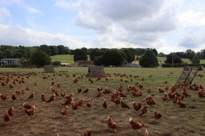 Oxen Cottage Dog Friendly Holiday Cottage, Upper Seagry, Cotswolds  20