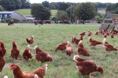 Oxen Cottage Dog Friendly Holiday Cottage, Upper Seagry, Cotswolds  24
