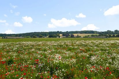 Oxen Cottage Dog Friendly Holiday Cottage, Upper Seagry, Cotswolds  31