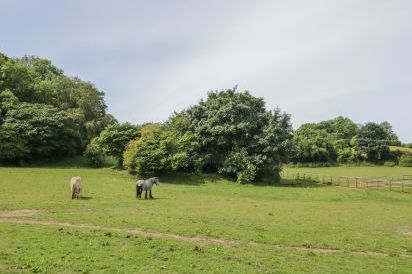 Pen Y Bryn Cottage 36