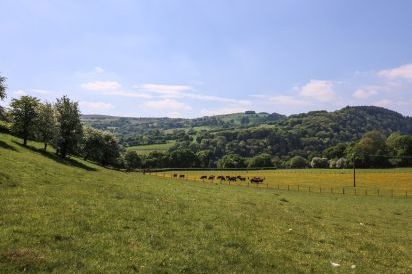 Pen Y Maes 20