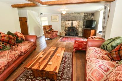 Plas Mawr 7