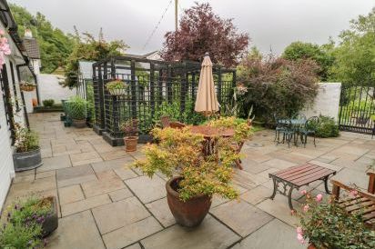 Quiet Waters Cottage 22