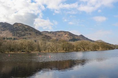 Red Kite Lodge 28