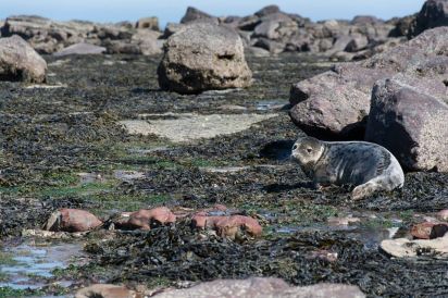 River Bank Cottage 3