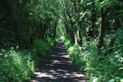 River Bank Cottage 2