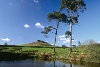 River Bank Cottage 6