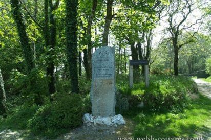 Sarnau 29