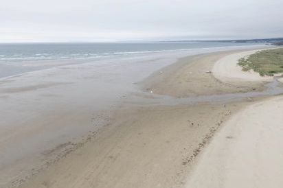 Seagull Shack 27