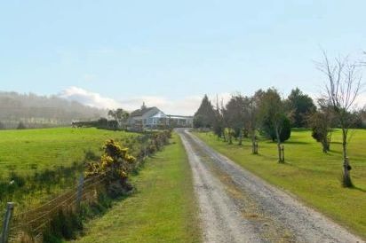 Seaview Dog-Friendly Cottage 15