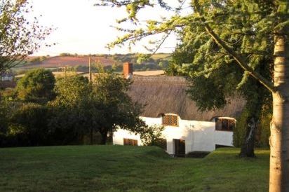 Shells dog friendly holiday cottage, Washford, South West England  22