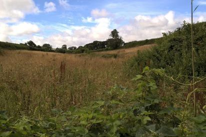 Shells dog friendly holiday cottage, Washford, South West England  28