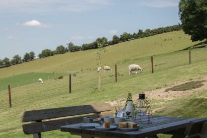 Shepherd's Rest 28
