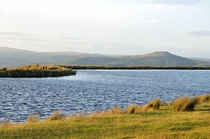 The Byre 6
