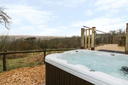 The Cabin near Pontardawe 2