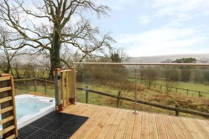 The Cabin near Pontardawe 14